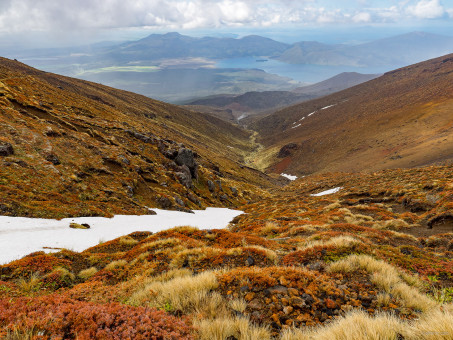 20141023-1556-30.jpg