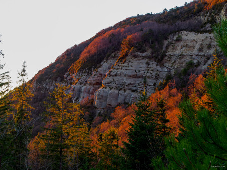 20161210-1656-27.jpg