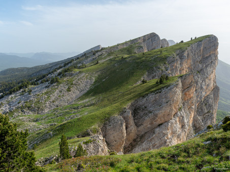 20210620-0853-32_DxO.jpg