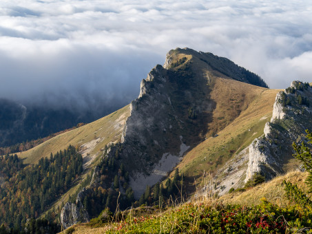 A la montée au Grand Som