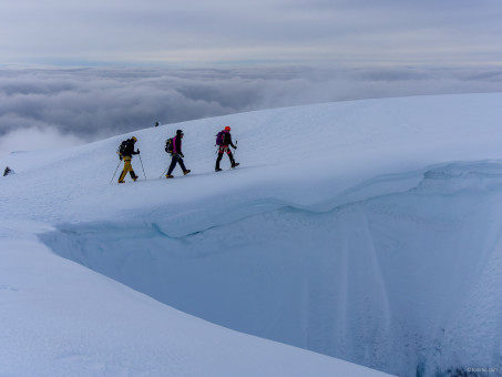 Retour sur le plateau