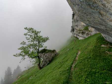 Et toujours le brouillard