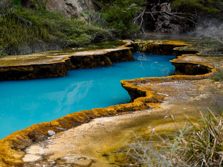 Bassin d'eau à Waiotapu