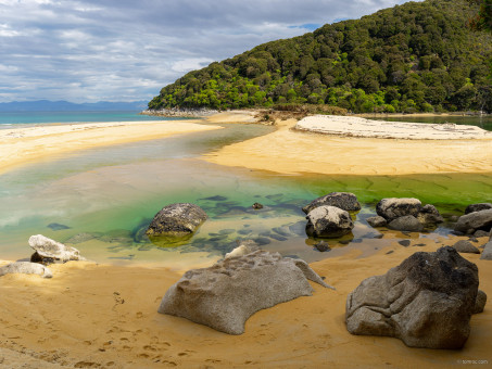 Sand Fly creek, sur le trek Abel Tassman