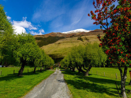 Chemin proche du lac Wanaka