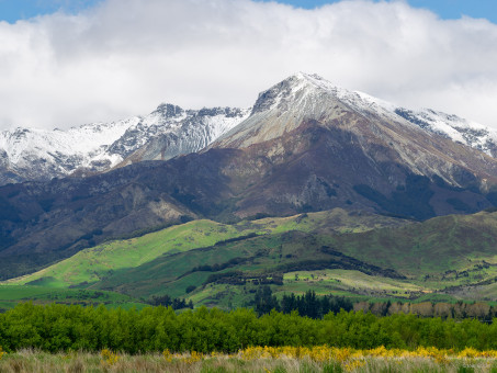 Patchwork de couleurs sur le trajet Te Anau - Catlins