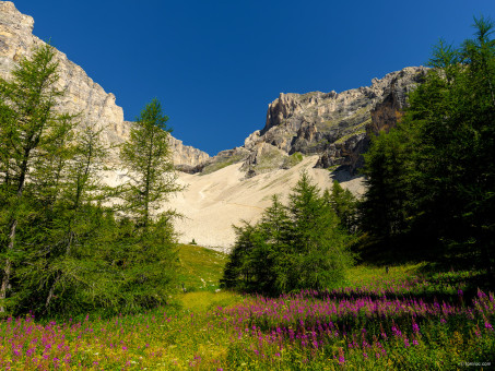 Spot de camping idéal à l'entrée du canyon, en direction du Pas de Paul