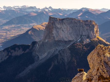 Le Mt Aiguille et le bouquetin, vus depuis la face sud du Grand Veymont