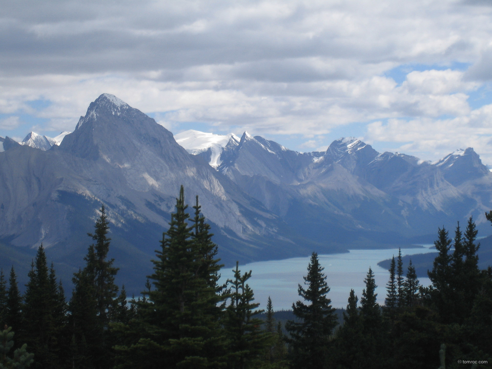 20060813_0550.jpg