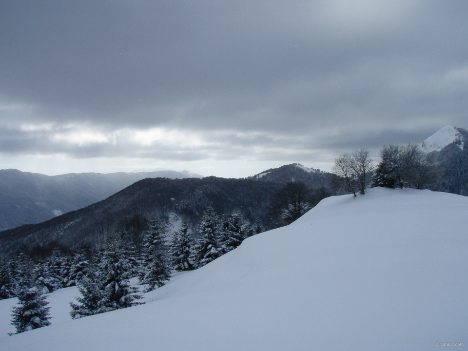 20100131-1235-54.jpg