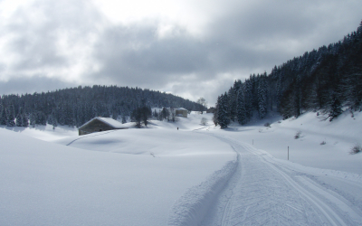 Ski de fond, version “skating” dans le Jura