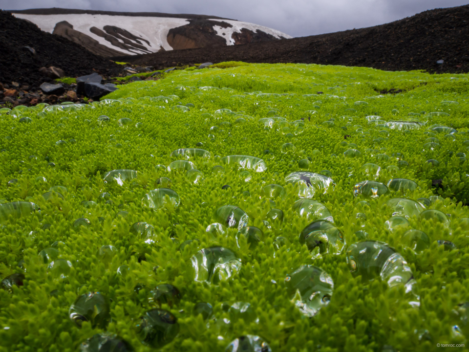 Perles de glace