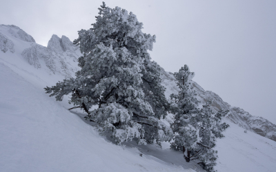 Ski de randonnée au Pas de la Ville (Vercors)