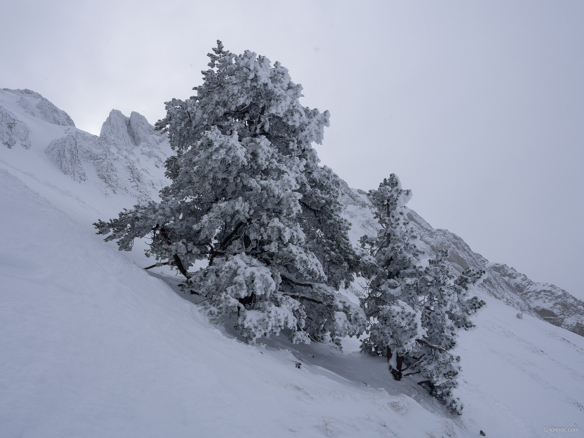Ski de randonnée au Pas de la Ville (Vercors)