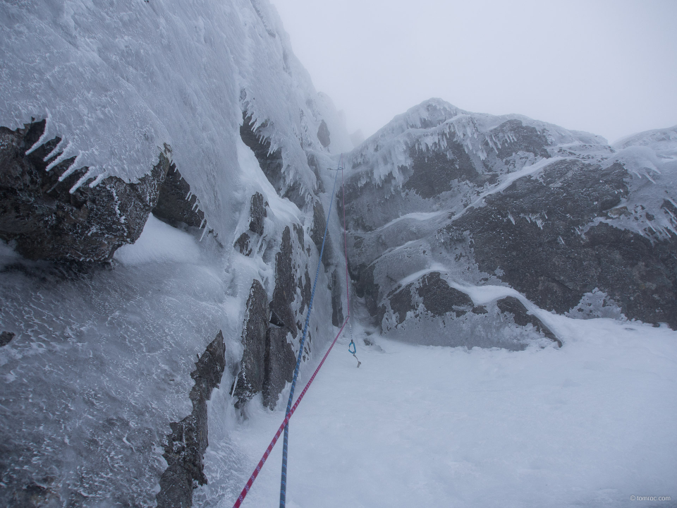 Crux de Zybernaught