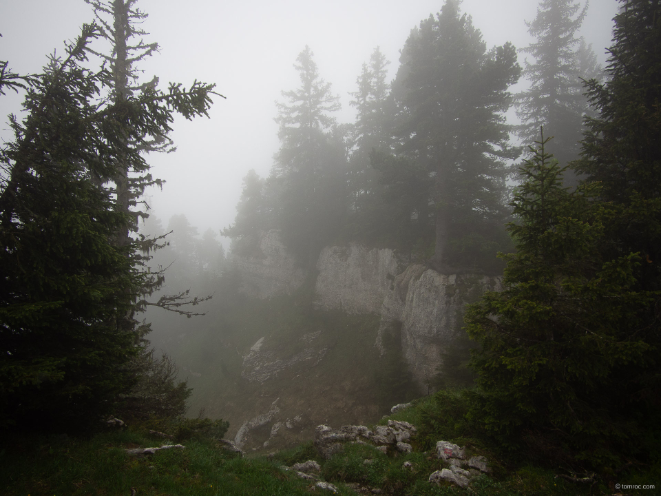 La brume, totale jusqu'en milieu d'après-midi