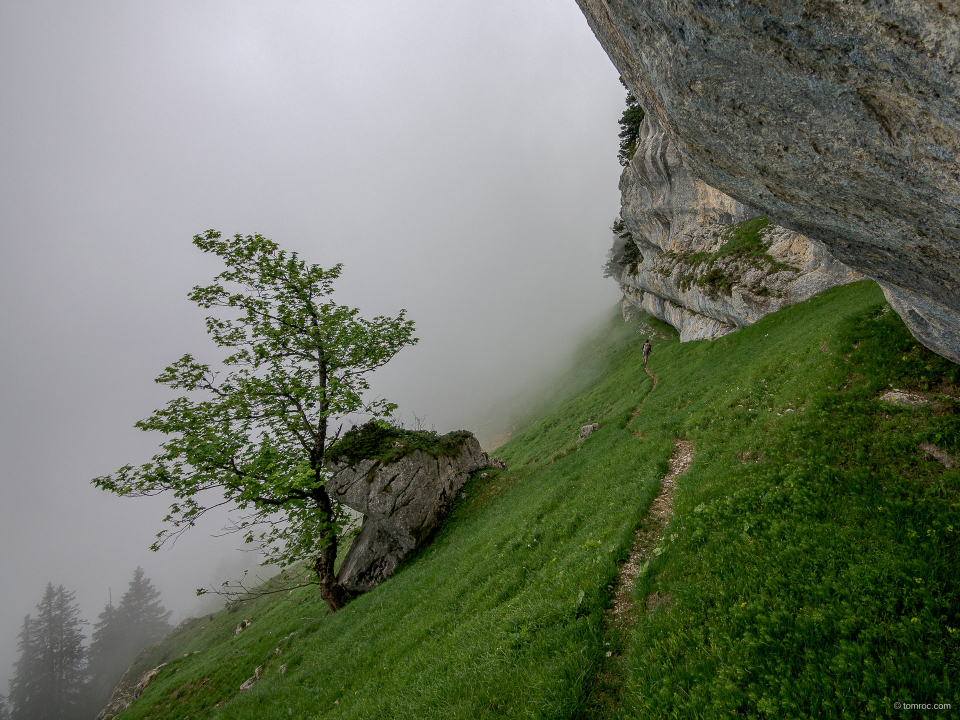 Et toujours le brouillard