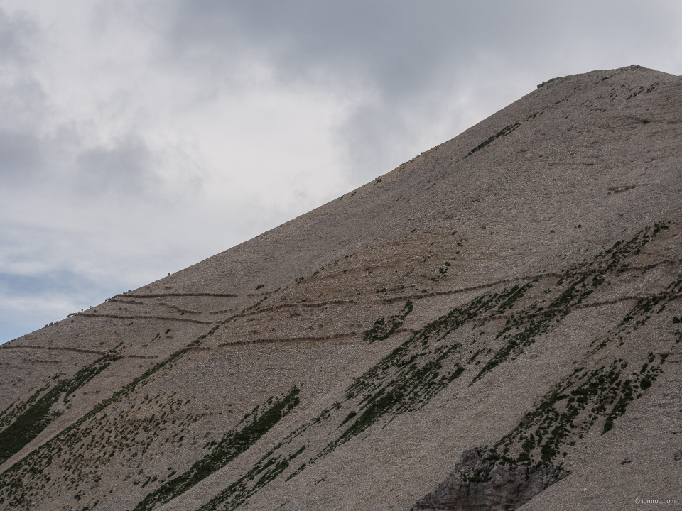 Les moutons sur Tête de Vallon Pierra