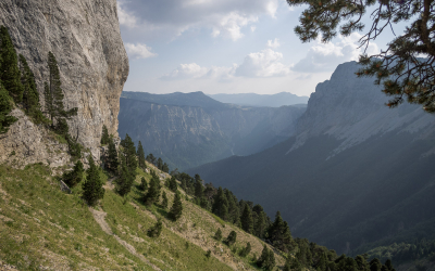 Stage Initiateur CAF Terrain d’Aventure