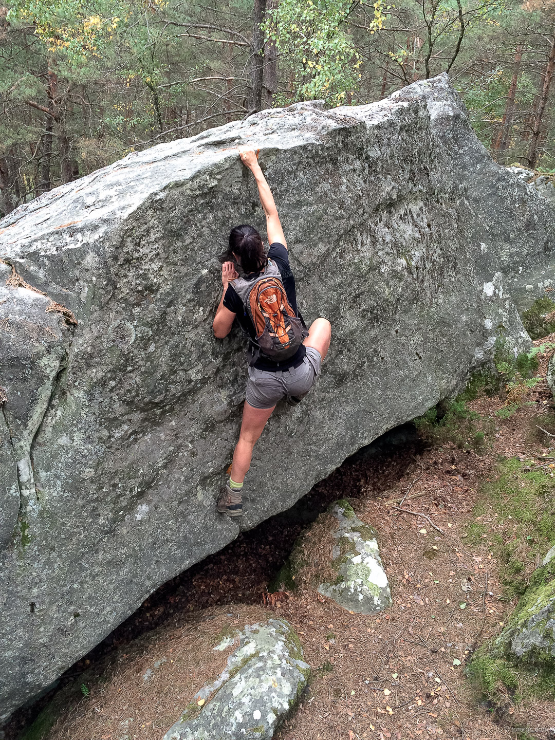 Découverte du Parcours Montagne à Fontainebleau