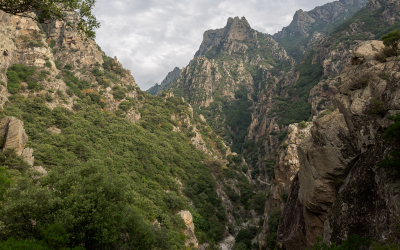 Découverte du Caroux